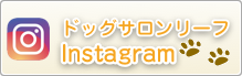 ドッグサロンリーフのインスタグラムページはこちら